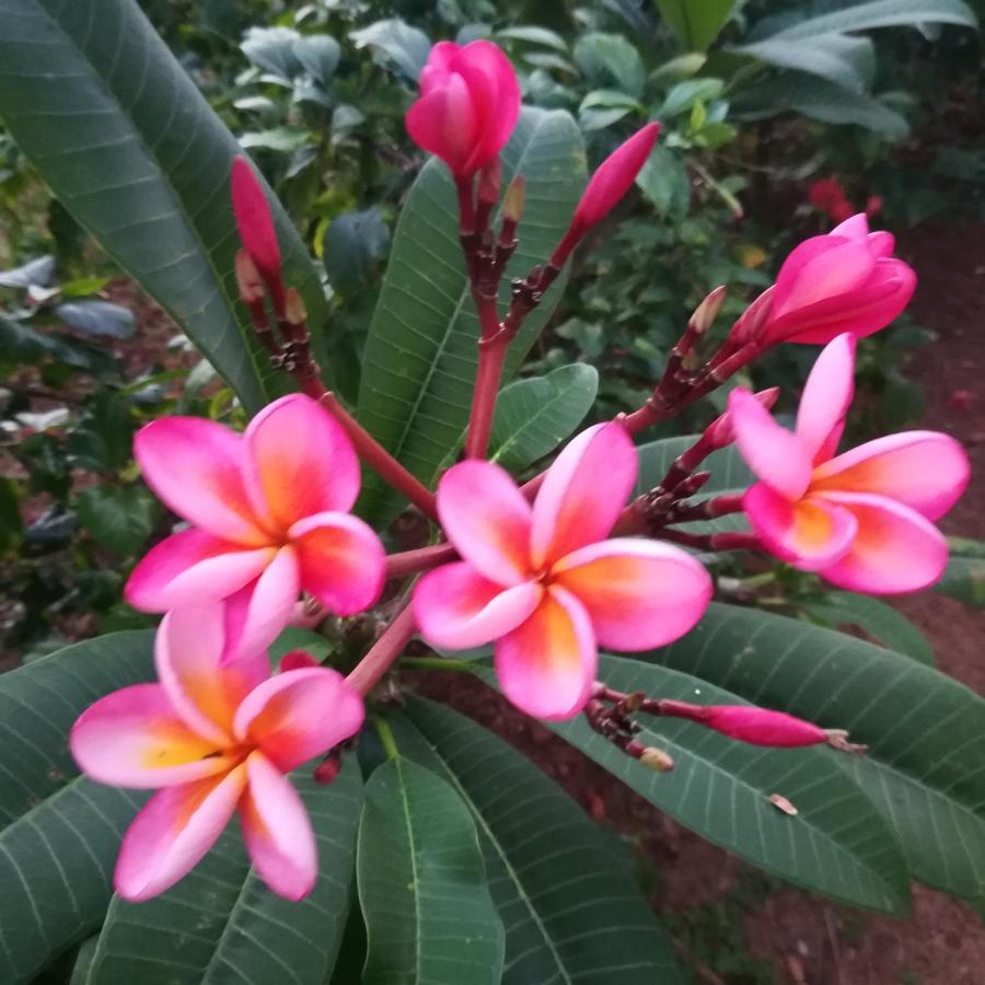 Sukriti Beach Resort Varkala Luaran gambar